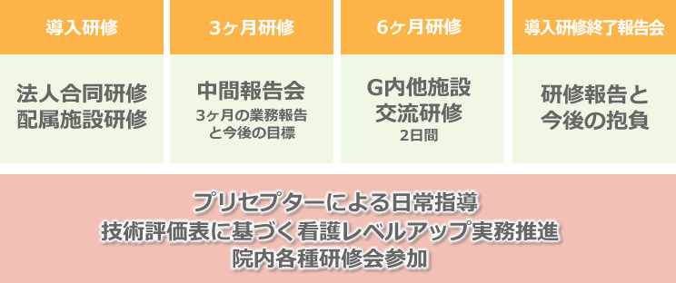 新人育成の研修詳細図